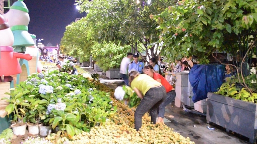 cam canh du khach vuot rao gianh giat hoa o duong hoa nguyen hue