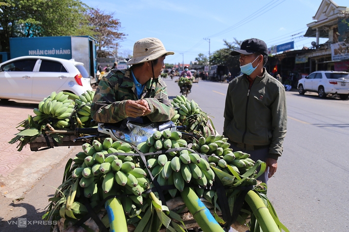 Chuối tết khan hiếm giá cao 1125 3