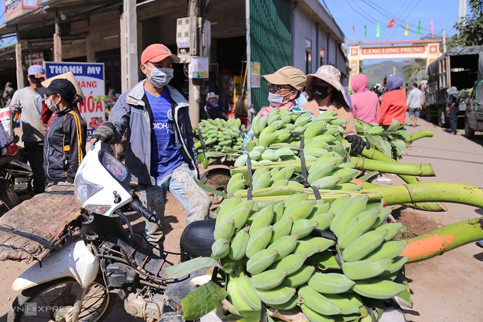 Chuối tết khan hiếm giá cao 1128 4