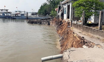 Sạt lở cuốn 6 căn nhà xuống sông Hậu