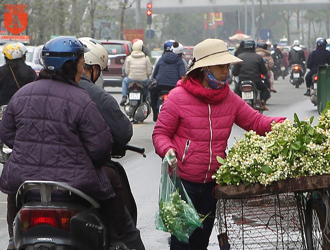 ha noi trong huong buoi thang 3