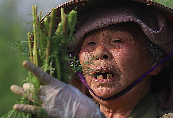 nguoi dan tay tuu thu hoach hoa phuc vu 83