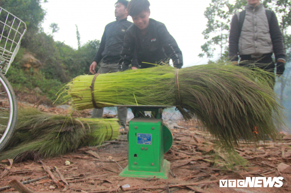 anh tre em vung nui quang binh chan tran keo nhau len rung hai loc troi