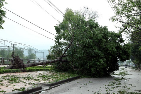 duong pho bac kan tan hoang sau mua da giong loc