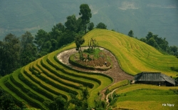 chau noi vua meo keu cuu vi bi tuoc quyen su dung toa dinh thu