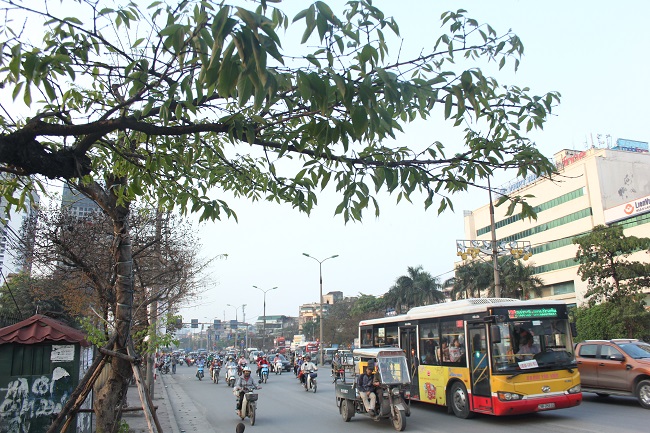 choi non bang lang du sac xanh vang do trong nang dau ha