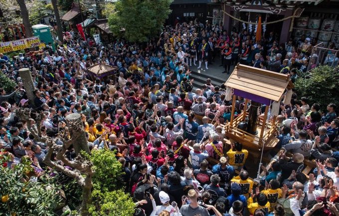 le ruoc duong vat thep o nhat ban