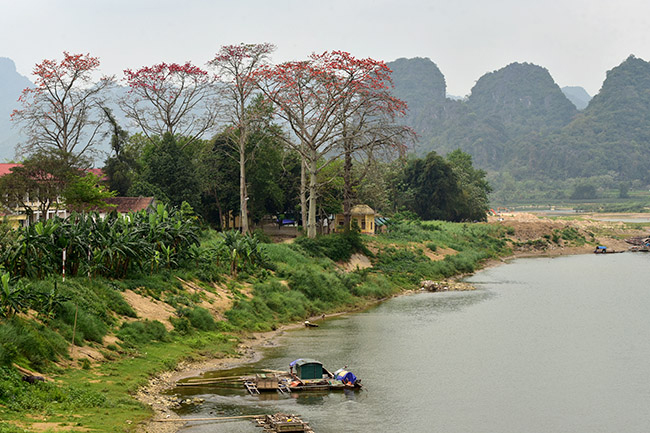 xao xuyen mua hoa gao no do ruc cac mien que