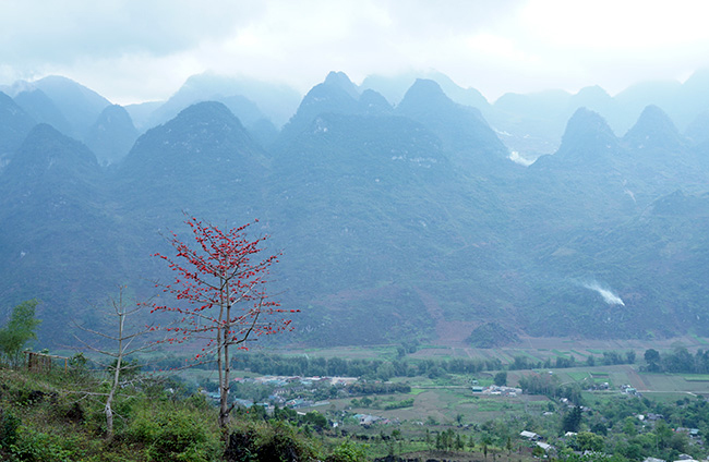 xao xuyen mua hoa gao no do ruc cac mien que