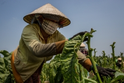 anh ve noi phu nu hut thuoc lao nha khoi dieu nghe nhu dan ong