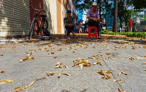 sai gon voi mua sao den ha canh ngap vang via he