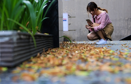 sai gon voi mua sao den ha canh ngap vang via he