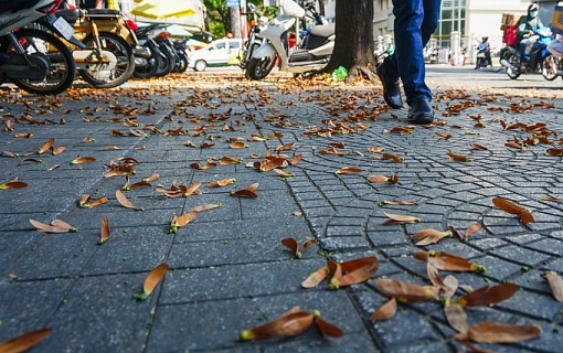 sai gon voi mua sao den ha canh ngap vang via he