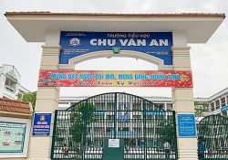 phu pham ga gia re do vao viet nam