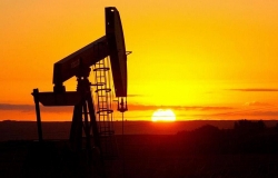 Giá dầu dần ổn định sau khi lao dốc xuống mức âm