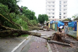 Nhiều cây cối, cột điện, nhà dân bị ảnh hưởng sau mưa dông ở Lào Cai