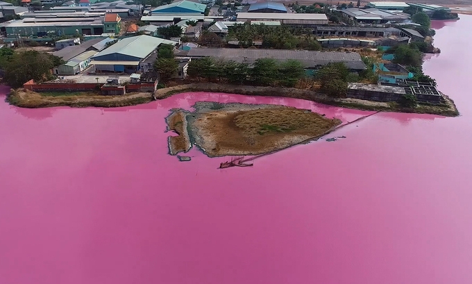 Công ty cạnh hồ nước màu hồng tím bị phạt 372 triệu đồng