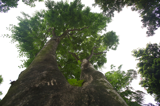 hang sua quy truoc ngay di doi de xay ga ngam