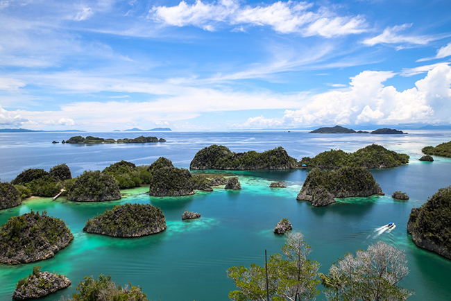 cat ba sanh vai cung maldives jeju trong top nhung hon dao thien duong tai chau a