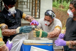 10 người Ấn Độ chết, hơn 90 người bị cách ly vì virus mới nổi Nipah