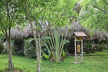 cay nhieu tien nam truong phong cong khai ngoai tinh dua ban gai ve tan nha