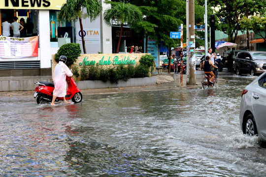 tp hcm mua trang troi trua cuoi tuan khu nha giau thao dien lai ngap