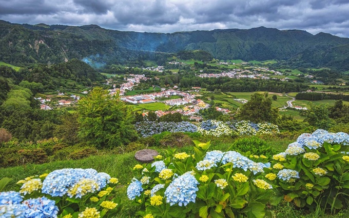 hon dao ngap tran hoa cam tu cau o bo dao nha