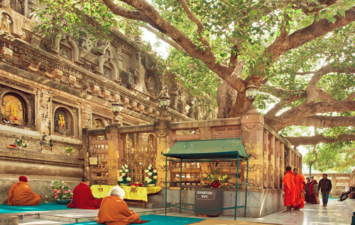 thanh dia bodh gaya noi duc phat thanh dao