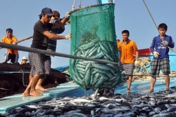 Trung Quốc ngang ngược áp đặt lệnh cấm đánh bắt cá ở Biển Đông