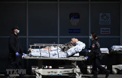 gan 91000 nguoi chet do ncov tai my