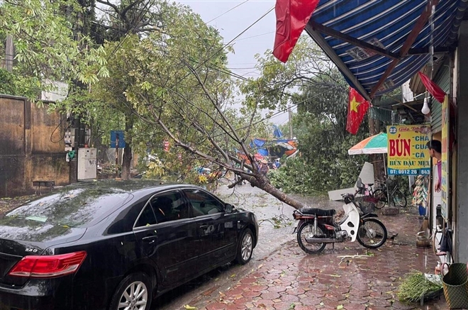 Hà Nội mưa như trút sau nhiều ngày nắng gắt, nhiều nơi mất điện, cây đổ - 2