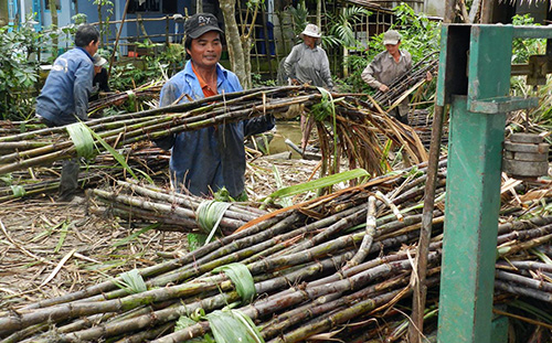 duong lau gia thap tran ngap thi truong