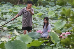 nuoc ho tay va cau tra loi cho nhung gia thuyet