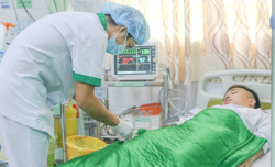 thanh nien an do bi hang tram con ong deo bam