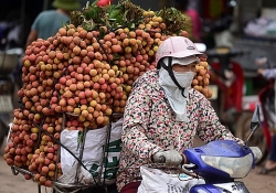 260 chu vua trung quoc tranh mua vai thieu bac giang gia cao ky luc