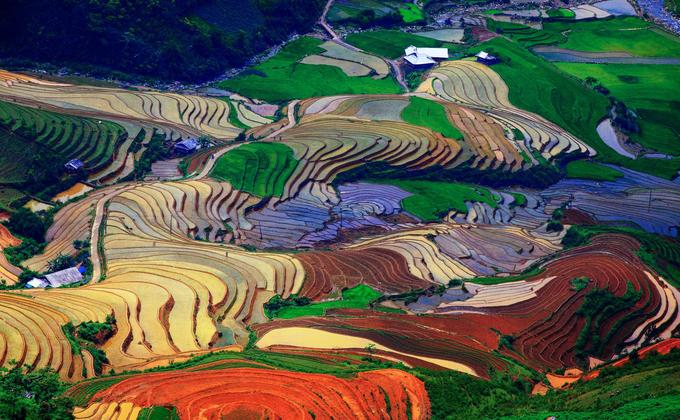 mua nuoc do tren ruong bac thang tu le va mu cang chai