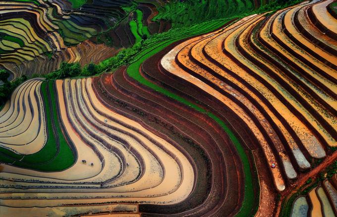 mua nuoc do tren ruong bac thang tu le va mu cang chai