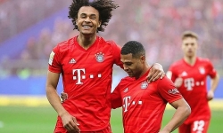 bayern munich lan thu 8 lien tiep gianh chuc vo dich bundesliga