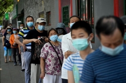 dung de hoa ca lang nhung ke co y do truc loi