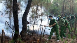 ha tinh chay rung o huong son co the do nguoi dan thap huong