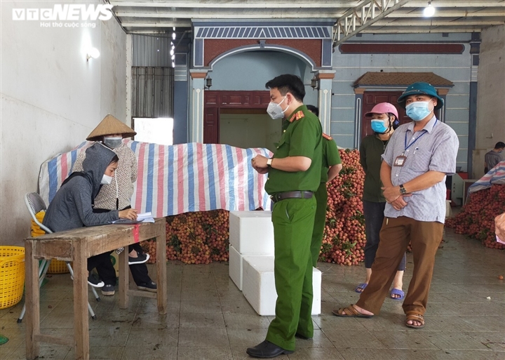 Công an Bắc Giang xắn tay giúp nông dân thu hoạch vải trong mùa COVID-19 - 1