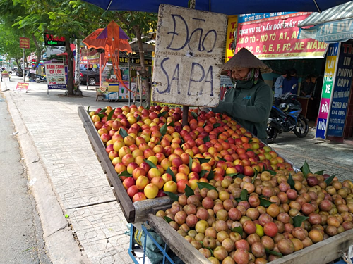 dao trung quoc gia re do ve sai gon