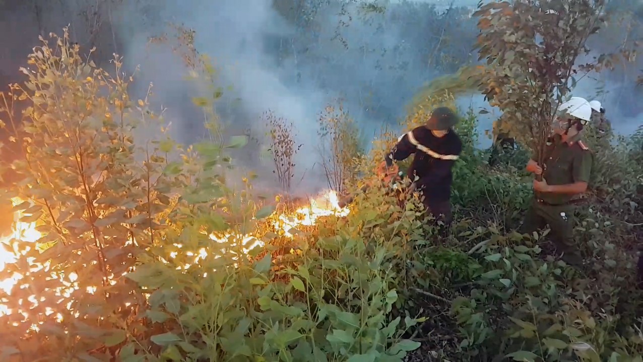 rung keo o phu yen chay du doi hon 500 nguoi no luc dap lua