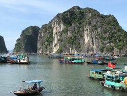 ha long xac minh vu thuyen vien nghi quay len du khach tam tren tau