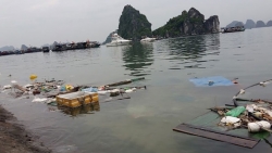 sri lanka doi tra lai anh hon 100 container chua rac thoi