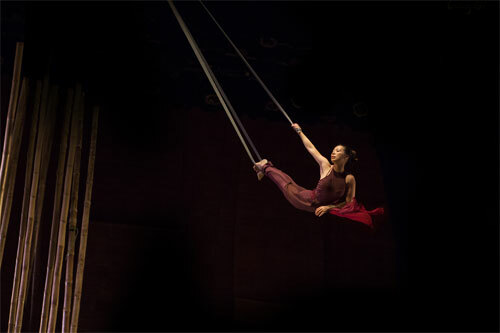 the gioi nghe thuat cua xiec tre viet nam