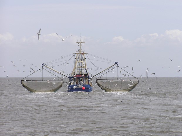 lien minh chau au cam danh bat ca tuyet tai vung bien baltic