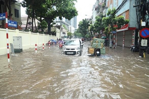 ha noi vua mua to khap nga duong ngap sau cay do chan pho