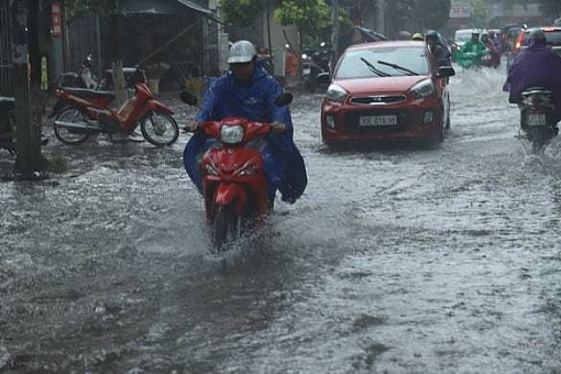 ha noi vua mua to khap nga duong ngap sau cay do chan pho