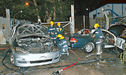 nguoi hong kong sap tuan hanh phan doi hoi tam hoang